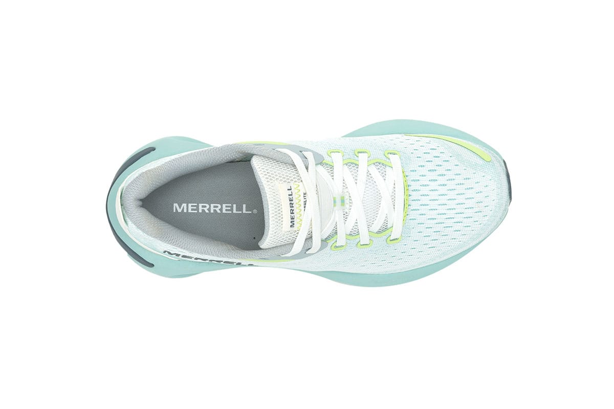 J068286-MORPHLITE_(04)